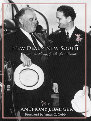 cover image of New Deal / New South